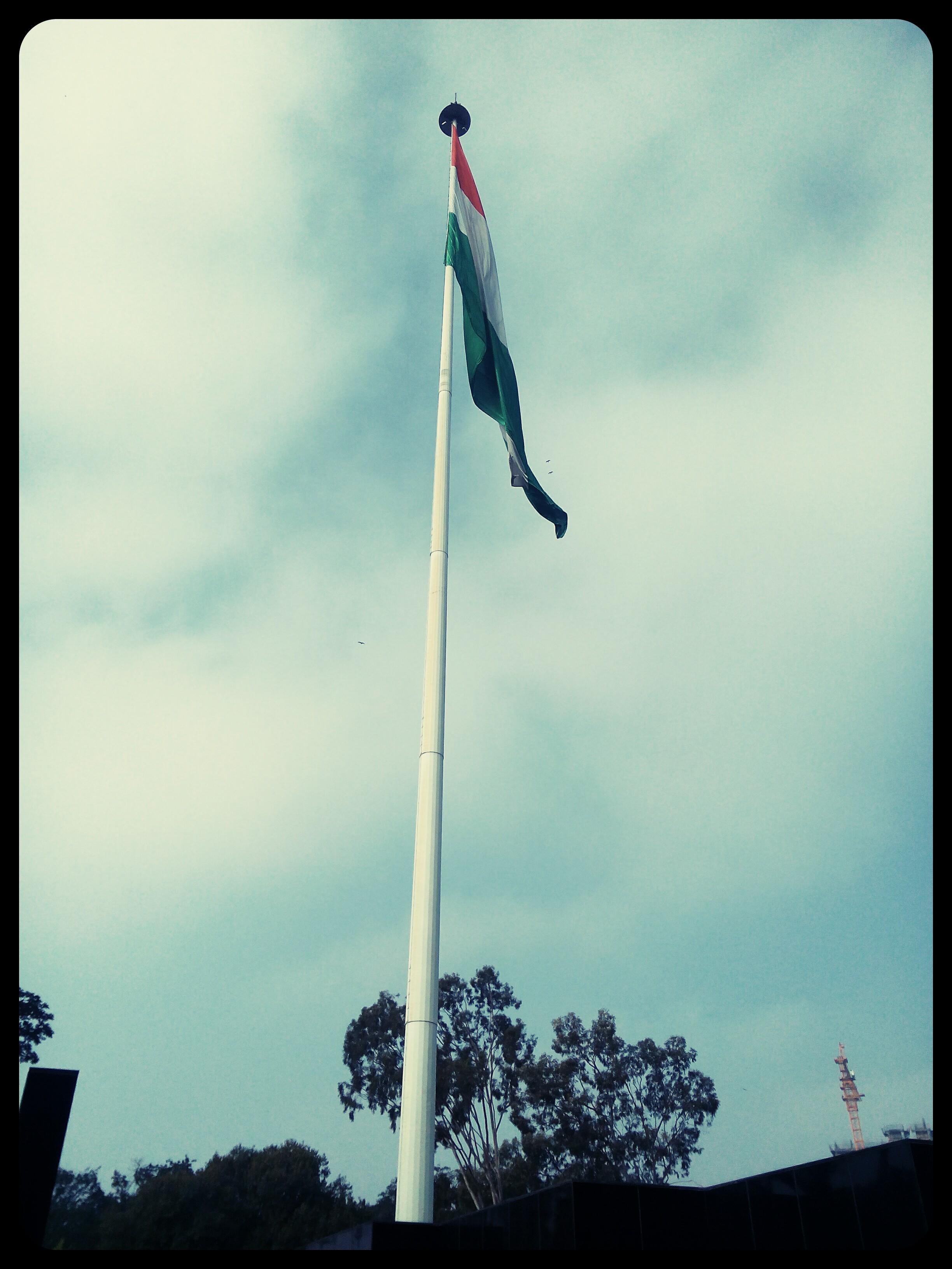 IMG_20141113_092213[1]