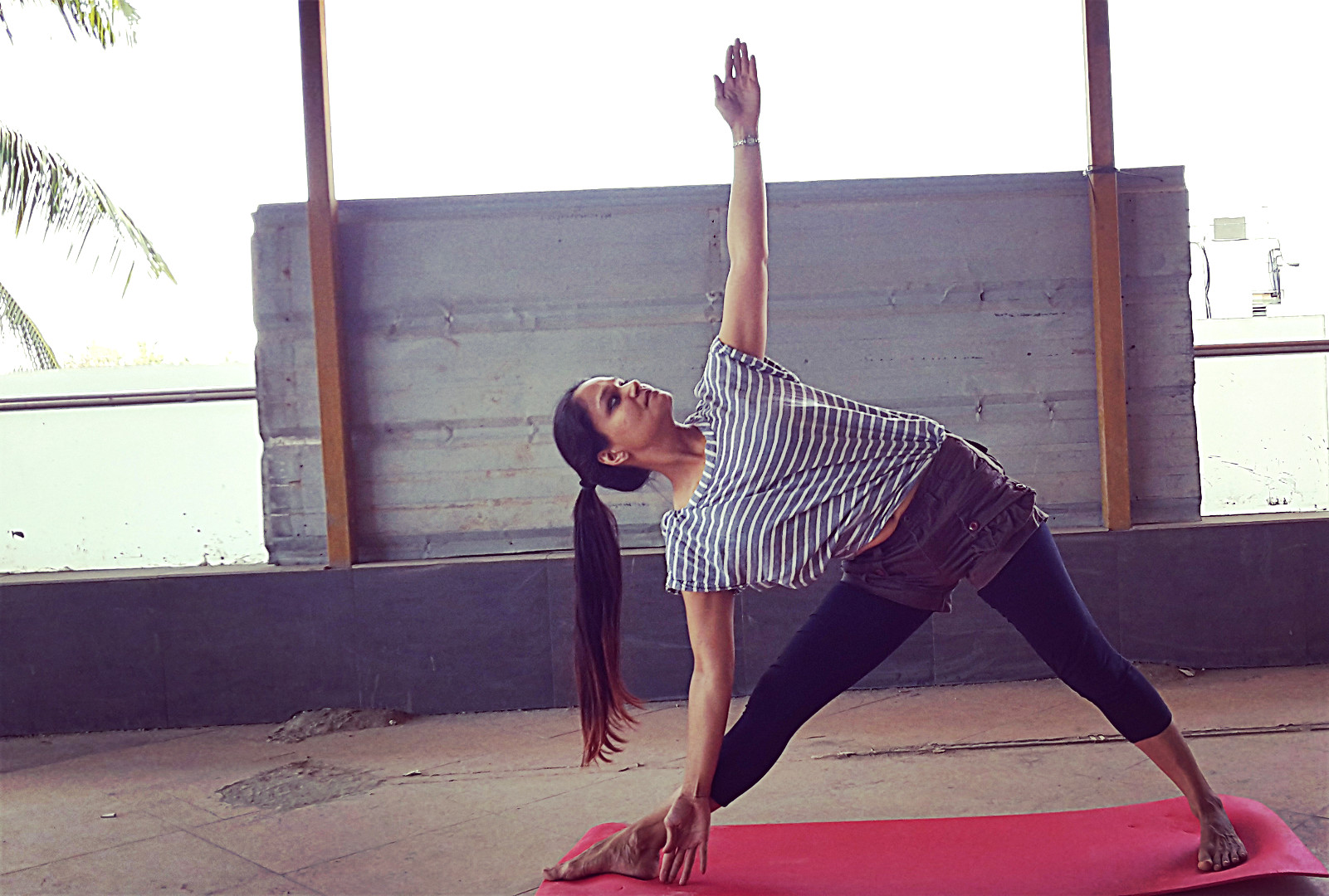 POMELO_20160304121812_save