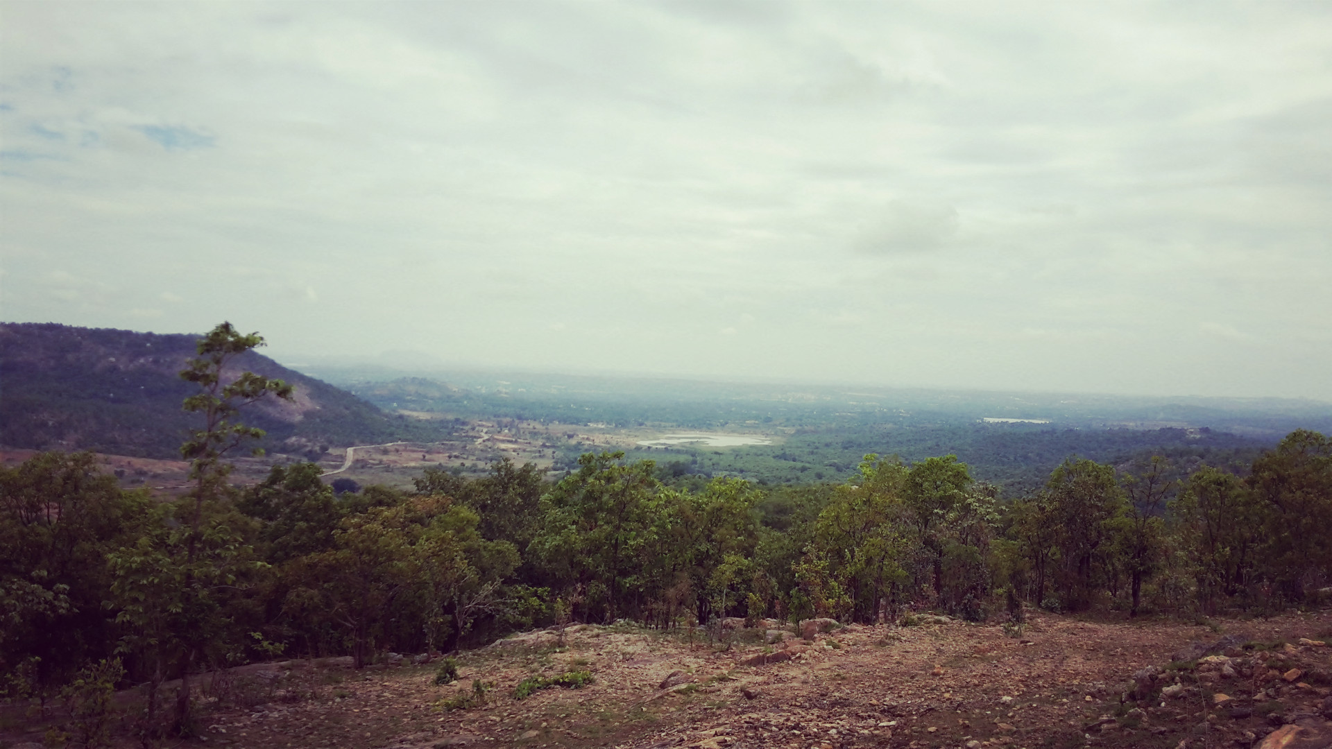 POMELO_20160529164649_save[1]