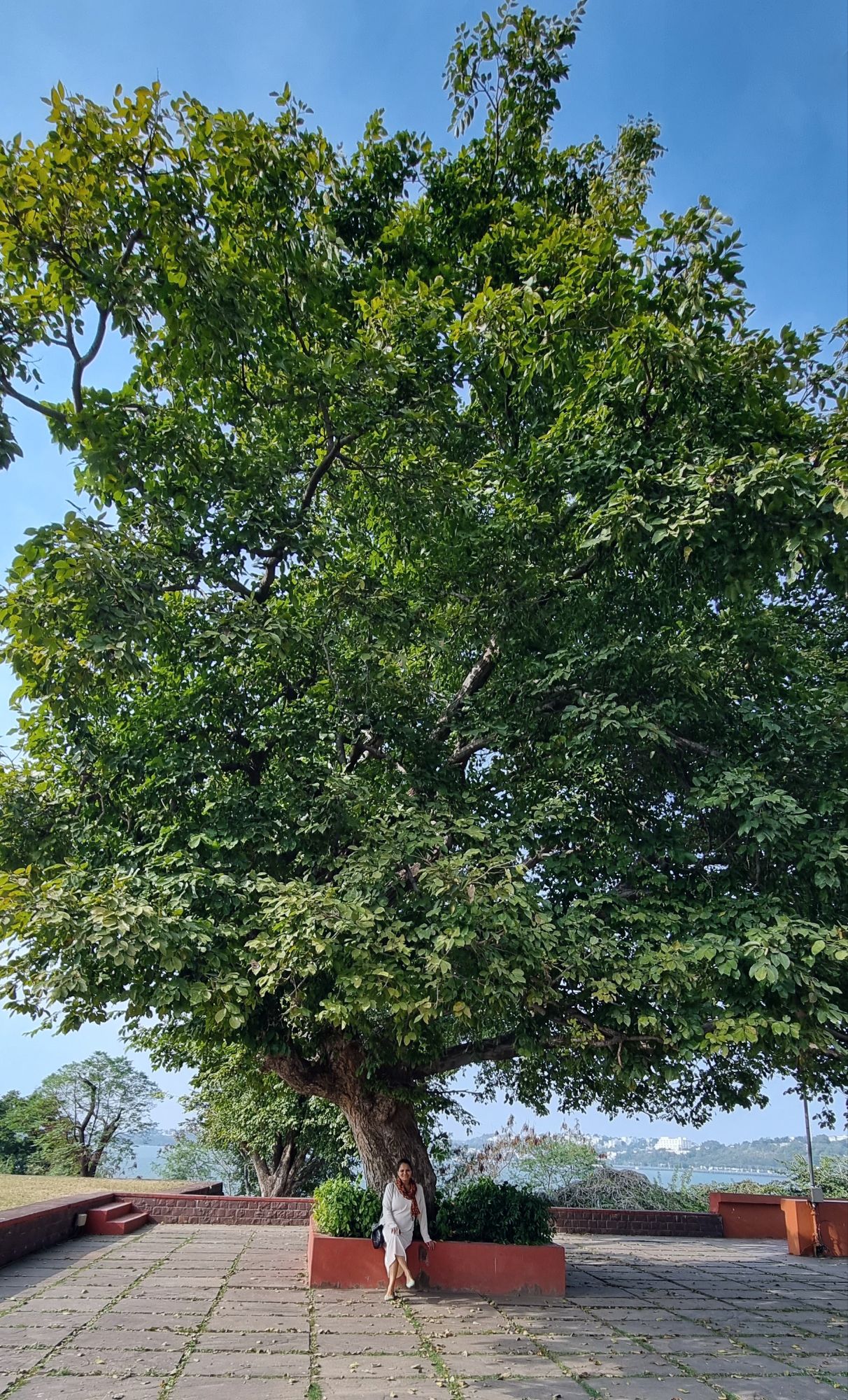 Madhya Pradesh Tribal Museum, Bhopal