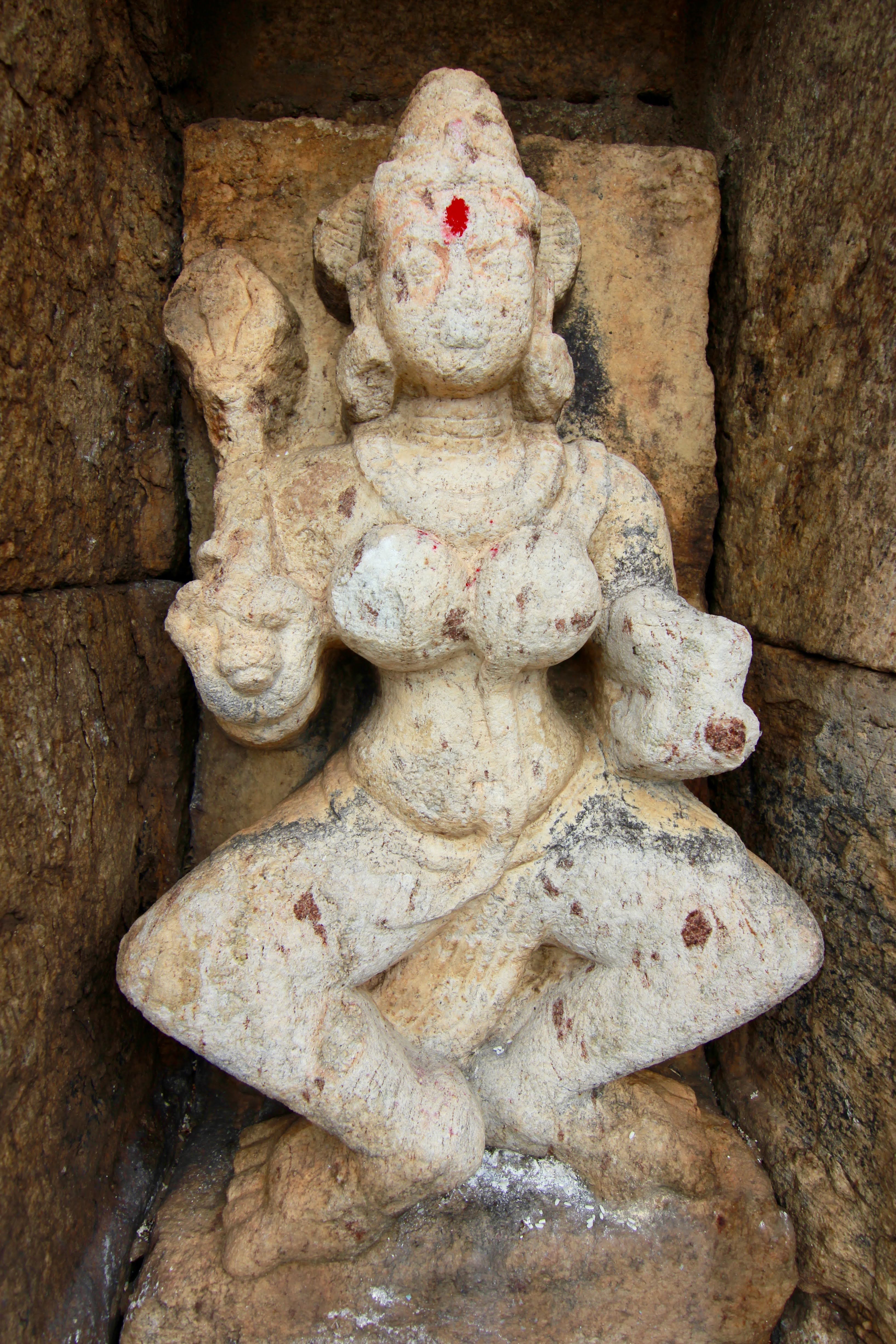 The voluptuous yoginis at Ranipur Jhariyal.