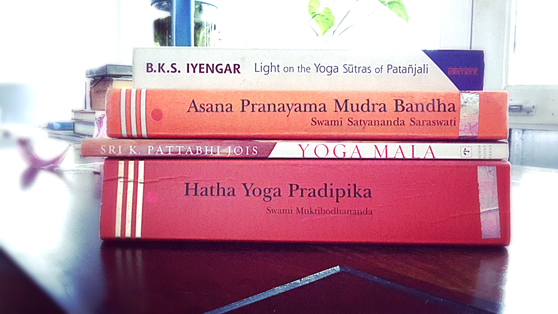 Important books for beginner yogis.